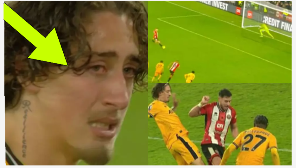 Fabio Silva breaks down in tears